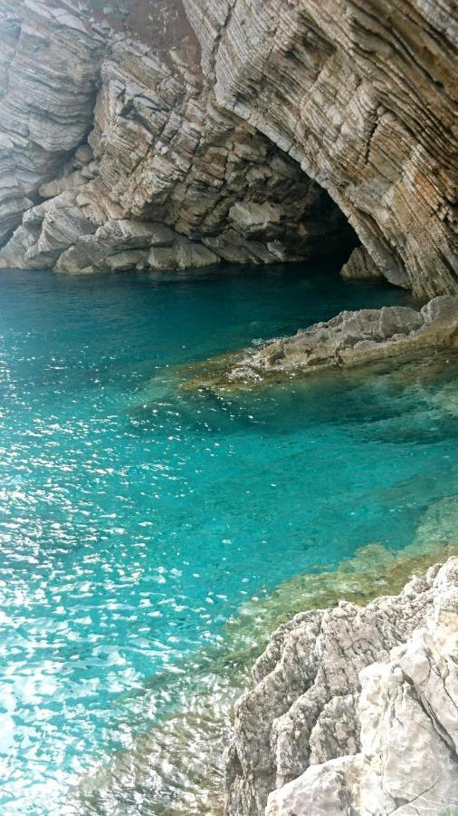Appartamento Petrovac Bay Monte Esterno foto